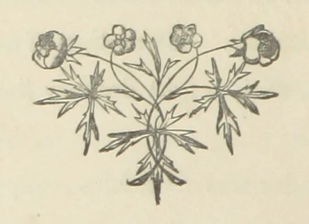 An illustration from The Lone Ranche. A tale of the 'Staked Plain.', 1871, leaf 254