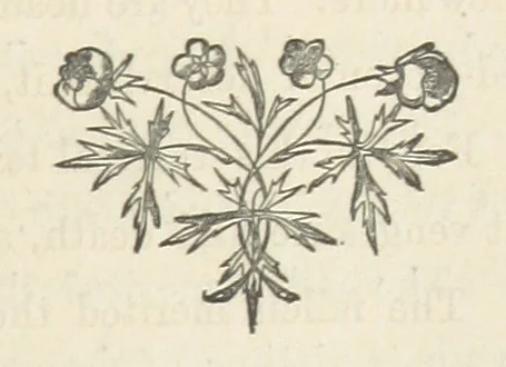 An illustration from The Lone Ranche. A tale of the 'Staked Plain.', 1871, leaf 293