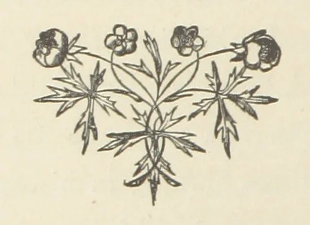 An illustration from The Lone Ranche. A tale of the 'Staked Plain.', 1871, leaf 48