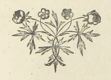 An illustration from The Lone Ranche. A tale of the 'Staked Plain.', 1871, leaf 8