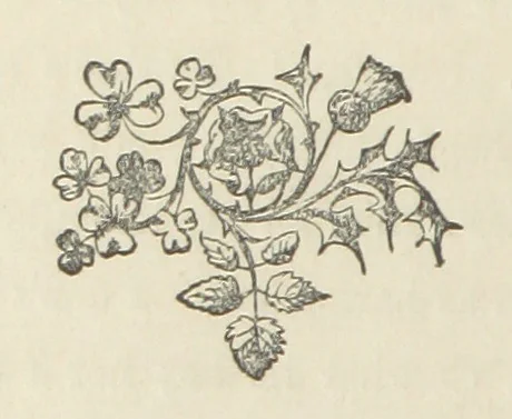 An illustration from The Lone Ranche. A tale of the 'Staked Plain.', 1871, leaf 90