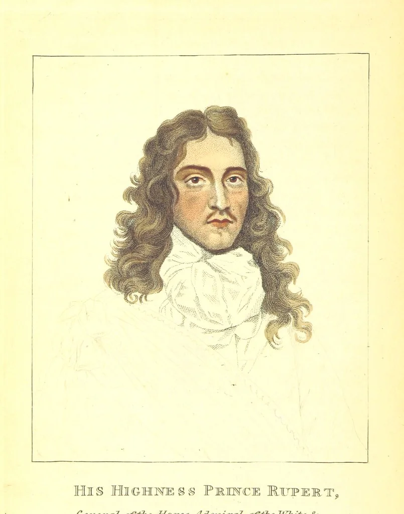 An illustration from The Travels and Memoirs of Sir John Reresby, Bart. The former (now first published) exhibiting a view of the Governments and Society in the principal States, and Courts of Europe during the time of Cromwell's usurpation: the latter containing anecdotes and secret history of the Courts of Charles II. and James II, 1813, leaf 226