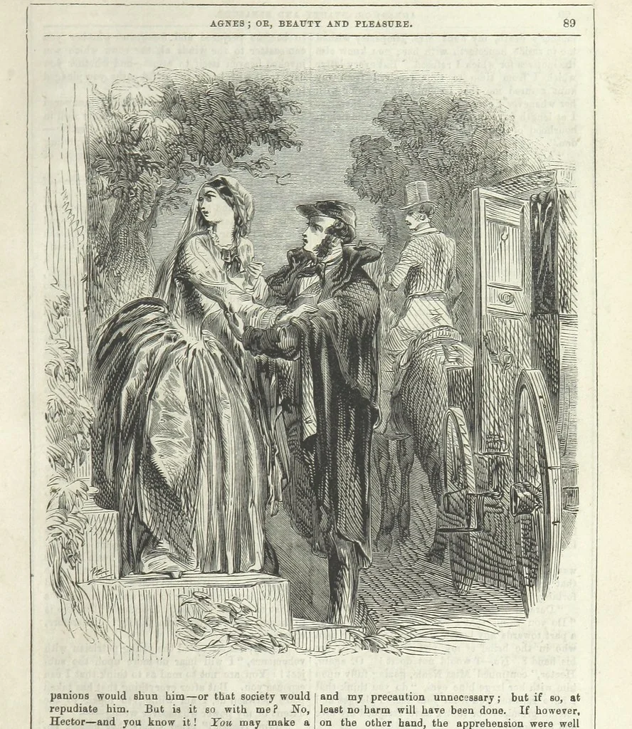 An illustration from Agnes; or Beauty and Pleasure, 1857, leaf 101