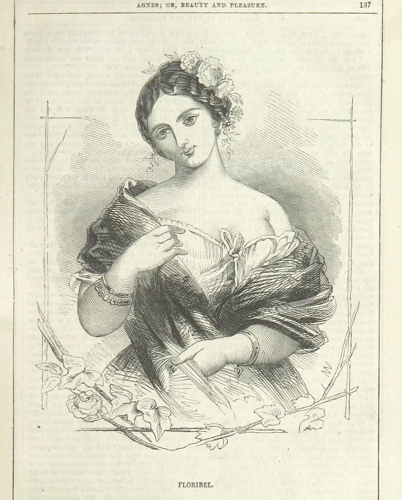 An illustration from Agnes; or Beauty and Pleasure, 1857, leaf 149