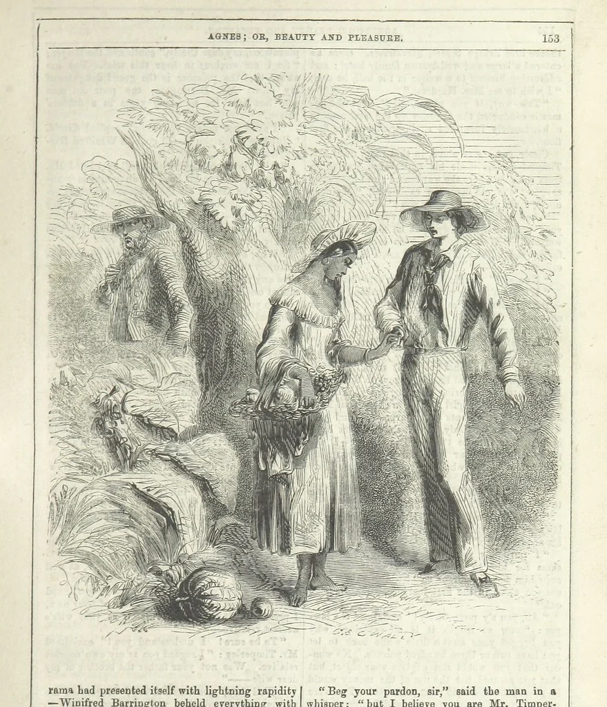 An illustration from Agnes; or Beauty and Pleasure, 1857, leaf 165