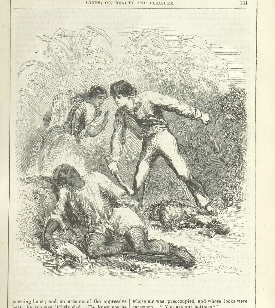 An illustration from Agnes; or Beauty and Pleasure, 1857, leaf 173
