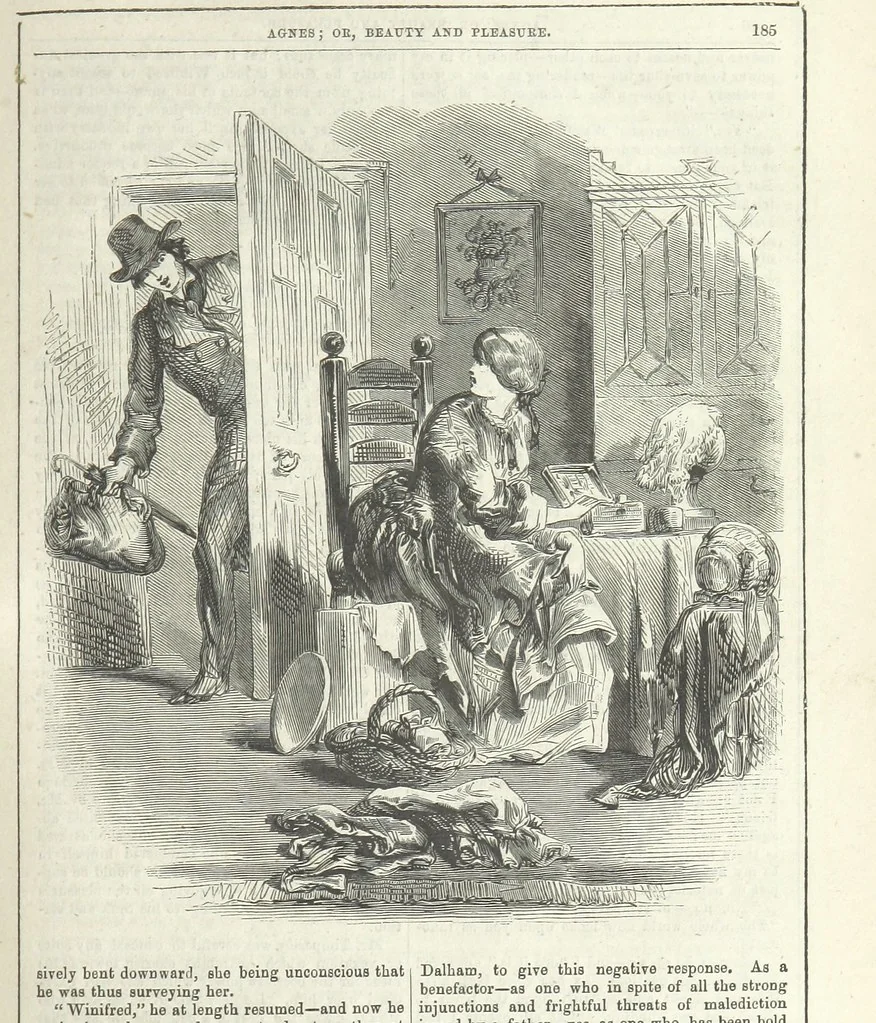 An illustration from Agnes; or Beauty and Pleasure, 1857, leaf 197