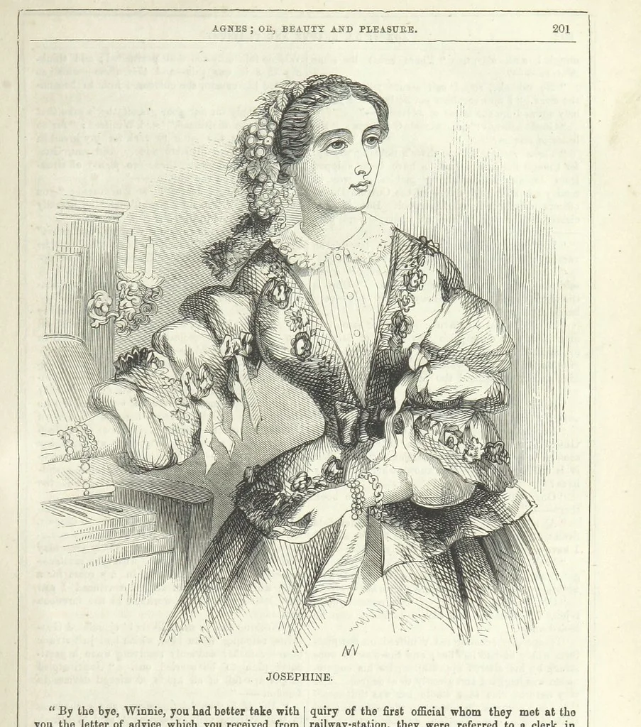 An illustration from Agnes; or Beauty and Pleasure, 1857, leaf 213