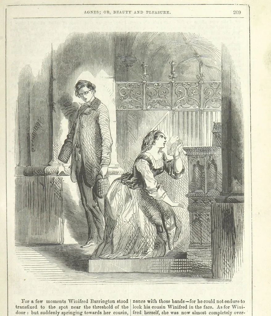 An illustration from Agnes; or Beauty and Pleasure, 1857, leaf 221