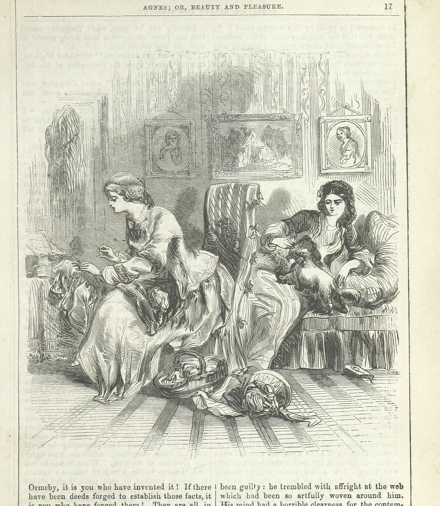 An illustration from Agnes; or Beauty and Pleasure, 1857, leaf 29