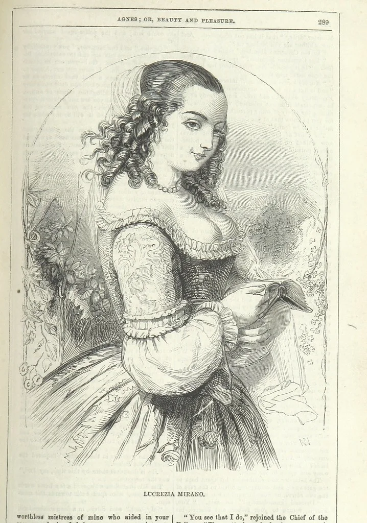An illustration from Agnes; or Beauty and Pleasure, 1857, leaf 301