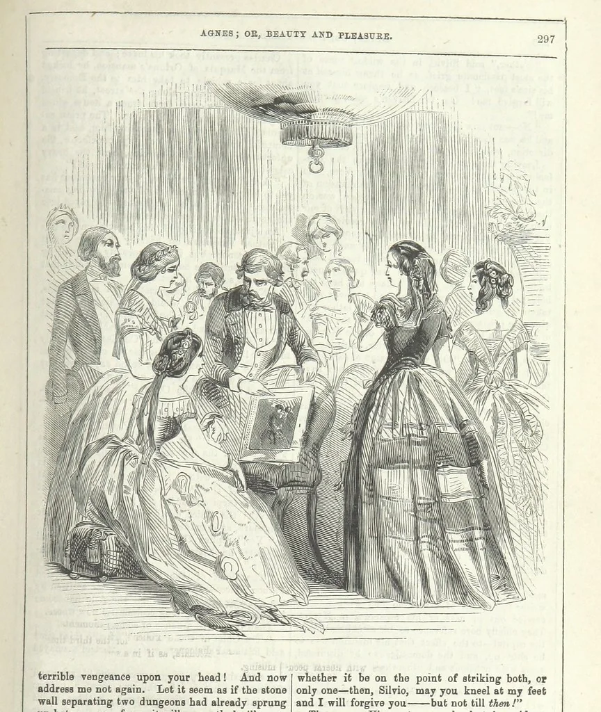 An illustration from Agnes; or Beauty and Pleasure, 1857, leaf 309