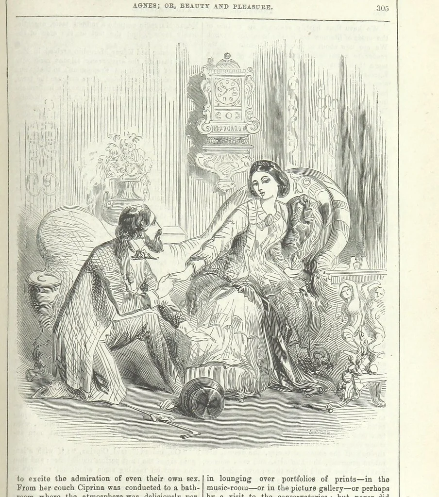 An illustration from Agnes; or Beauty and Pleasure, 1857, leaf 317