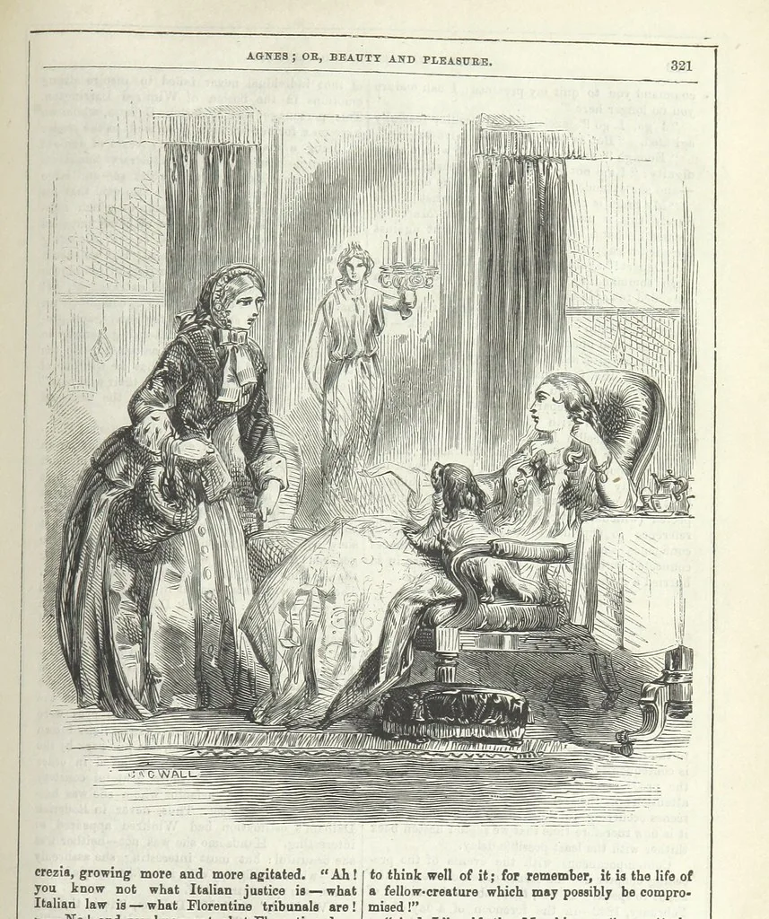 An illustration from Agnes; or Beauty and Pleasure, 1857, leaf 333