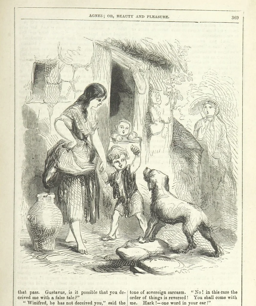 An illustration from Agnes; or Beauty and Pleasure, 1857, leaf 381