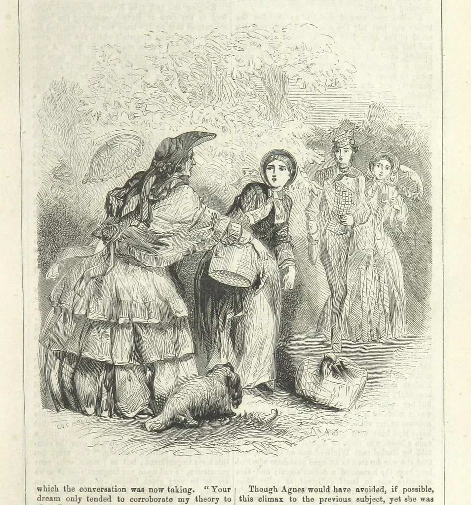 An illustration from Agnes; or Beauty and Pleasure, 1857, leaf 69