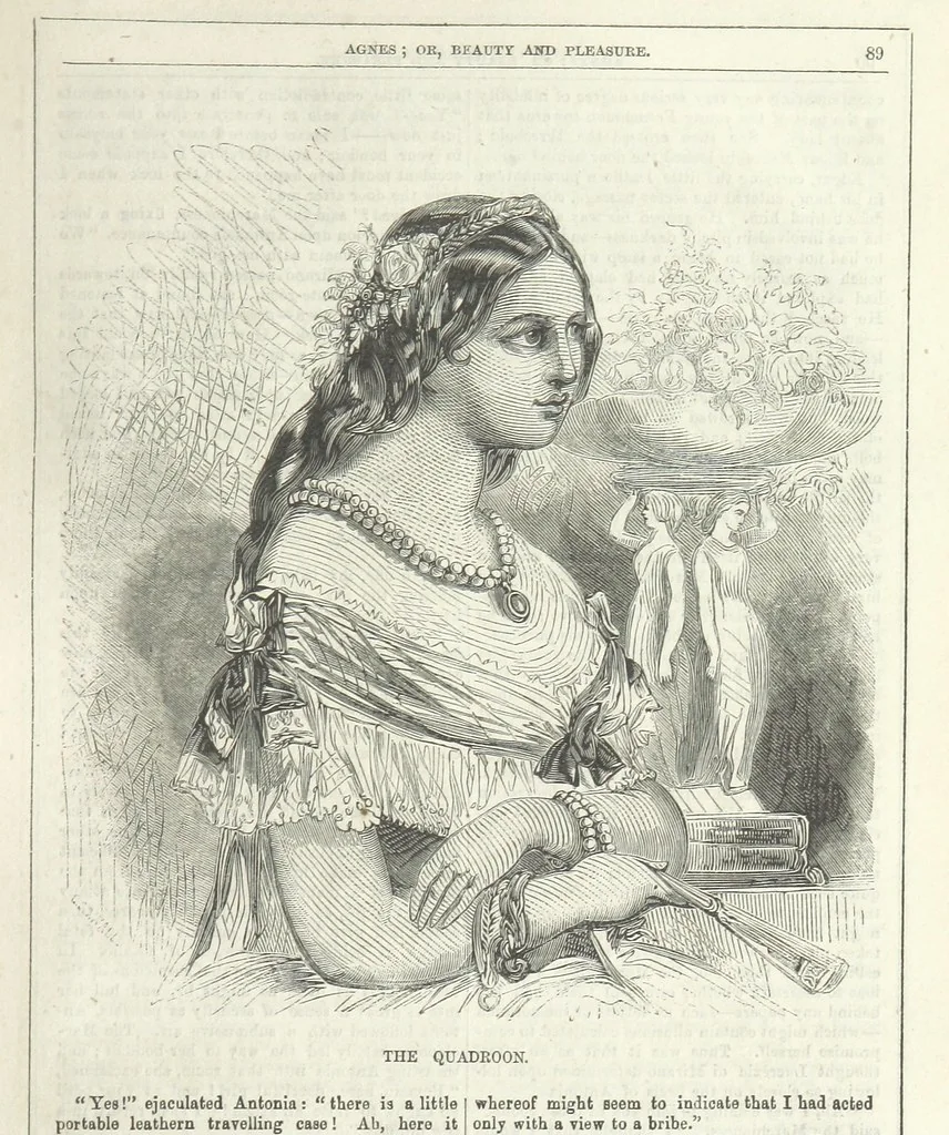 An illustration from Agnes; or Beauty and Pleasure, 1857, leaf 101