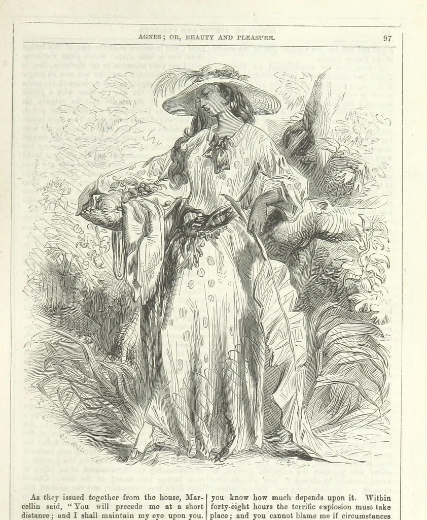 An illustration from Agnes; or Beauty and Pleasure, 1857, leaf 109