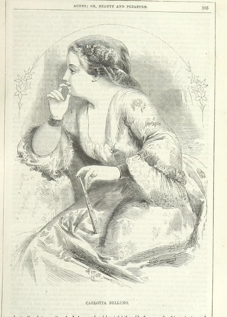 An illustration from Agnes; or Beauty and Pleasure, 1857, leaf 117