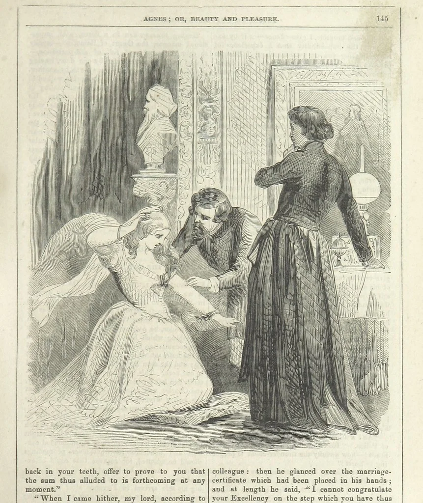 An illustration from Agnes; or Beauty and Pleasure, 1857, leaf 157