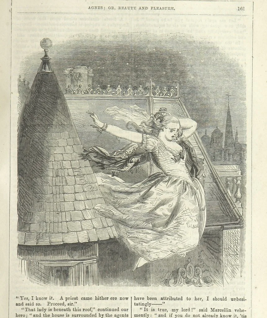 An illustration from Agnes; or Beauty and Pleasure, 1857, leaf 173
