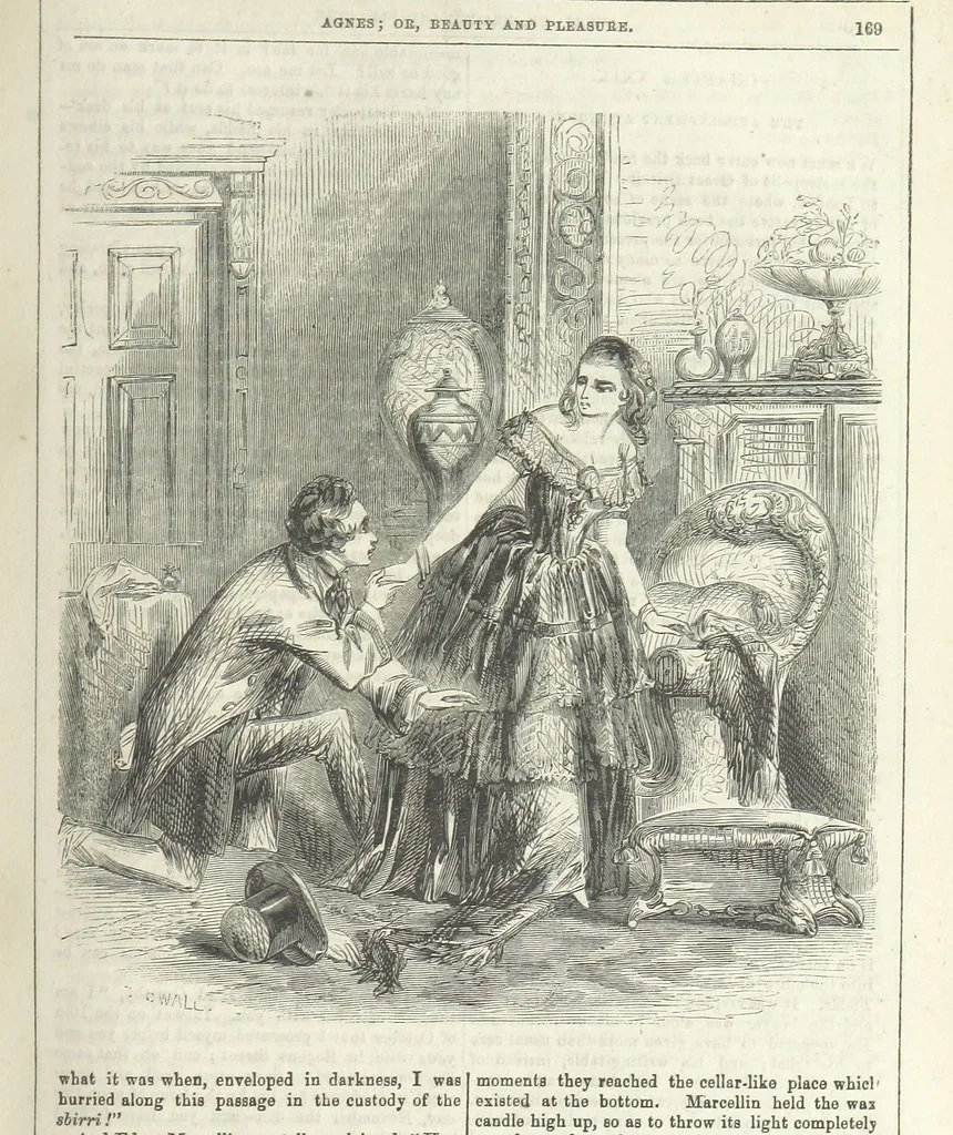 An illustration from Agnes; or Beauty and Pleasure, 1857, leaf 181