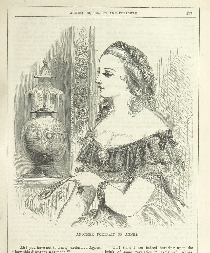 An illustration from Agnes; or Beauty and Pleasure, 1857, leaf 189