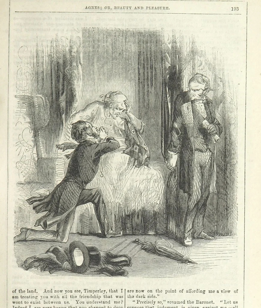 An illustration from Agnes; or Beauty and Pleasure, 1857, leaf 205