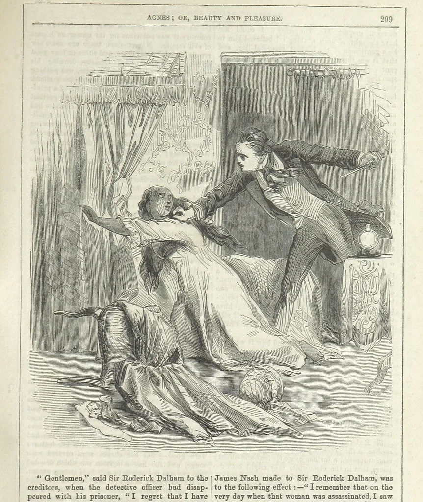 An illustration from Agnes; or Beauty and Pleasure, 1857, leaf 221