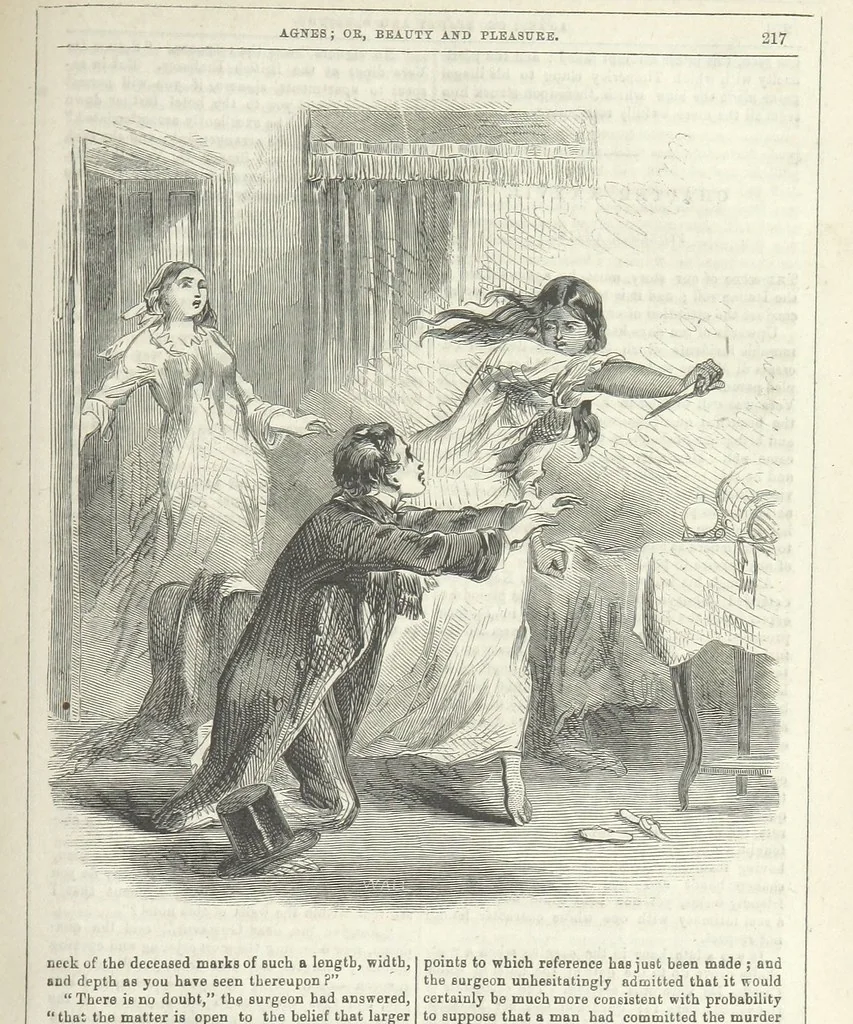 An illustration from Agnes; or Beauty and Pleasure, 1857, leaf 229