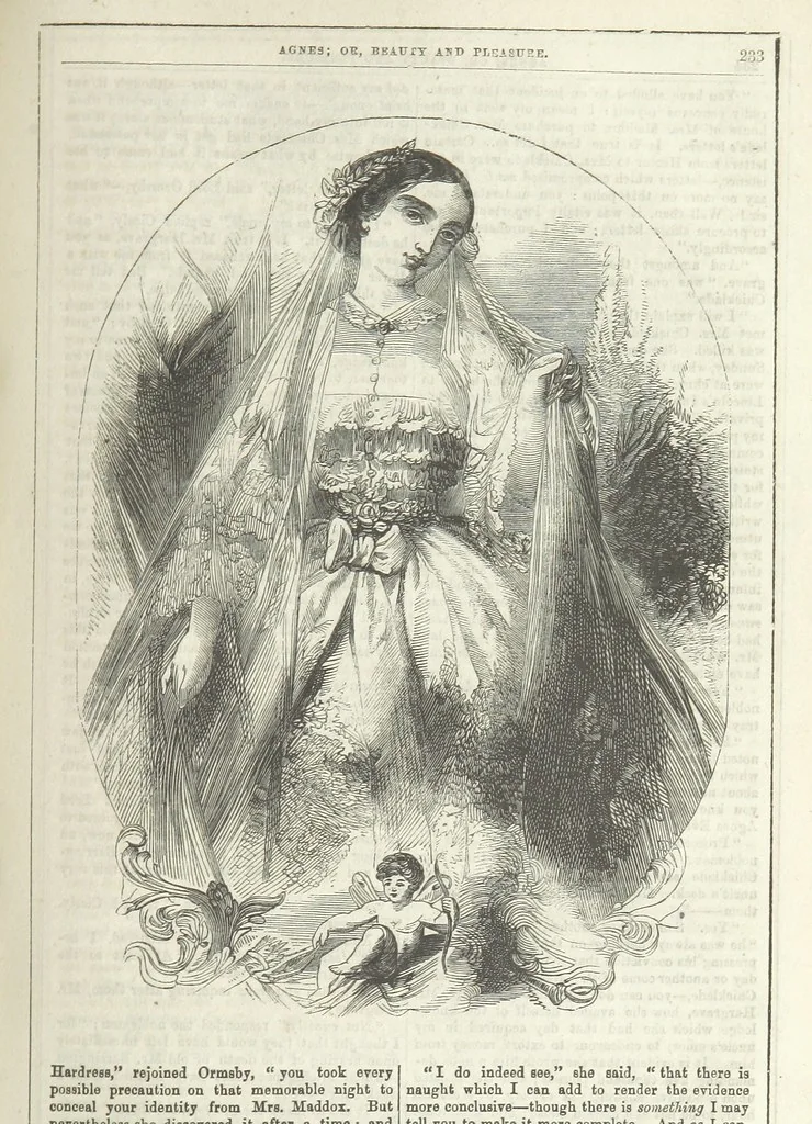 An illustration from Agnes; or Beauty and Pleasure, 1857, leaf 245
