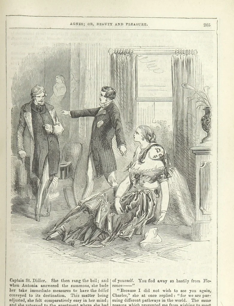 An illustration from Agnes; or Beauty and Pleasure, 1857, leaf 277