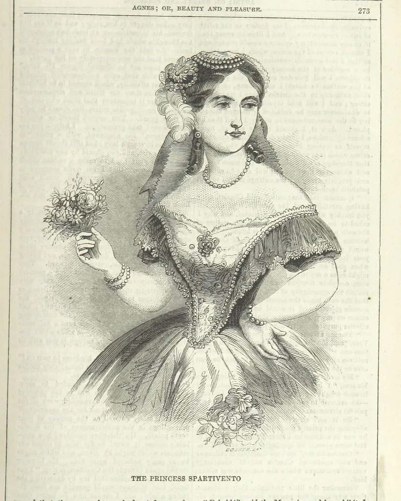 An illustration from Agnes; or Beauty and Pleasure, 1857, leaf 285