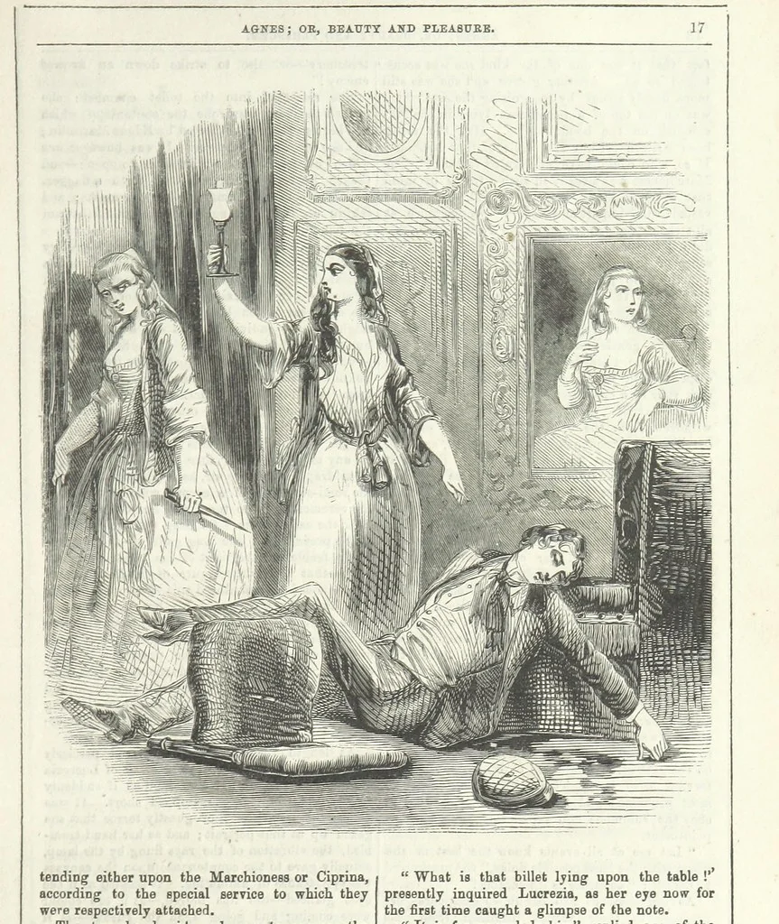 An illustration from Agnes; or Beauty and Pleasure, 1857, leaf 29