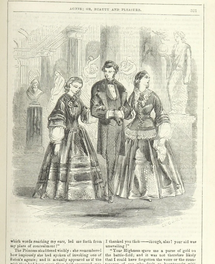 An illustration from Agnes; or Beauty and Pleasure, 1857, leaf 333