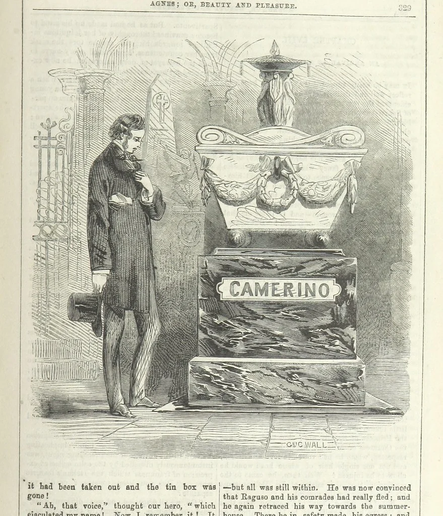 An illustration from Agnes; or Beauty and Pleasure, 1857, leaf 341