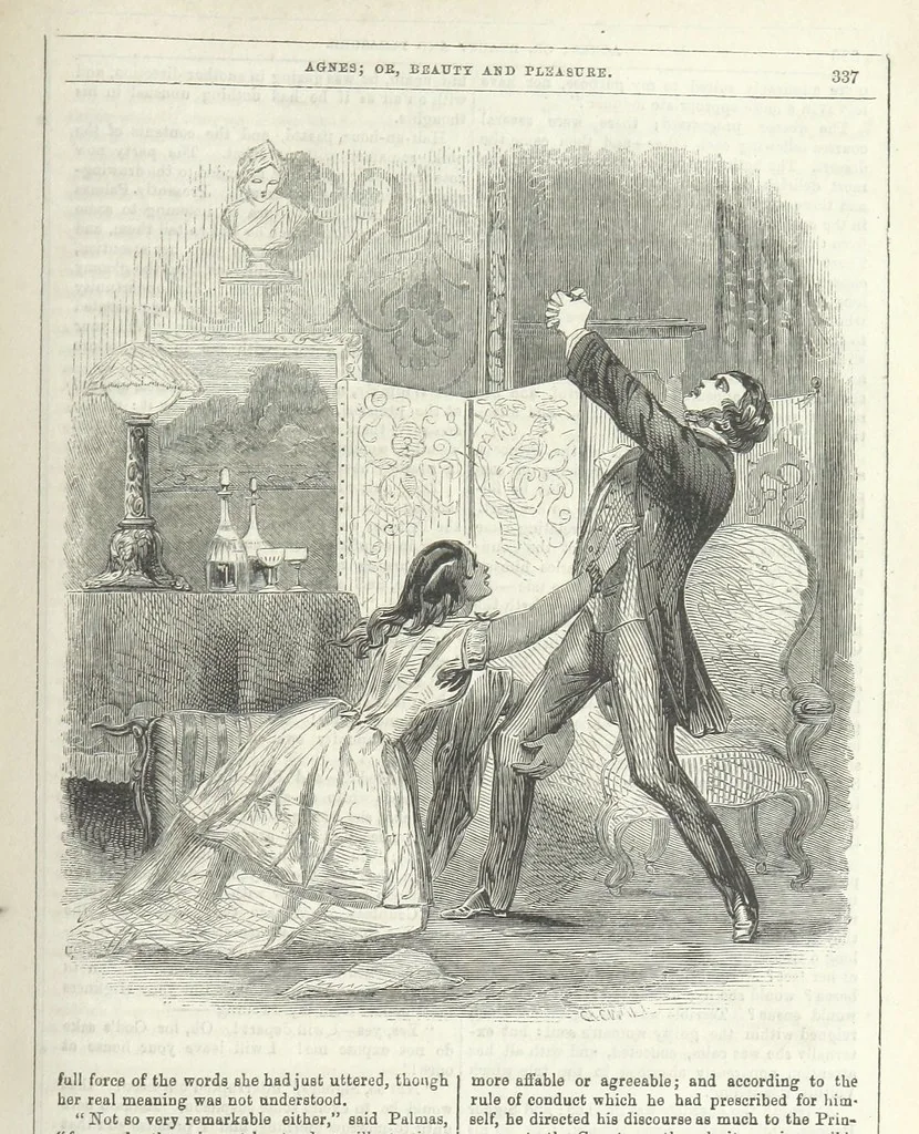 An illustration from Agnes; or Beauty and Pleasure, 1857, leaf 349