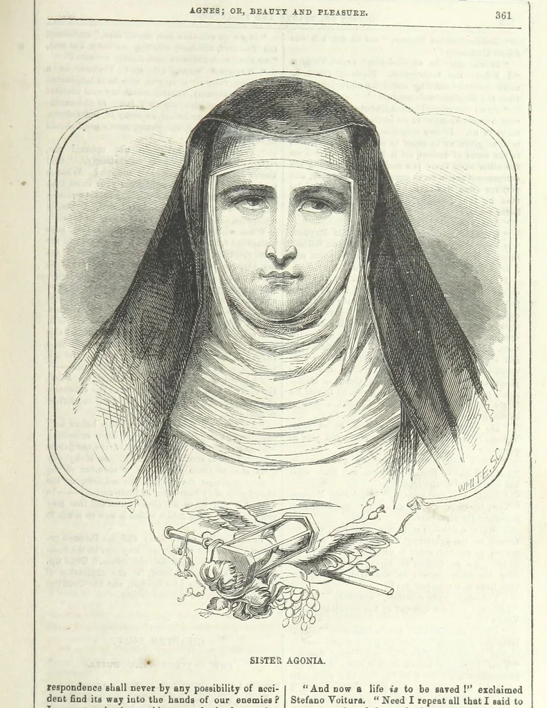 An illustration from Agnes; or Beauty and Pleasure, 1857, leaf 373