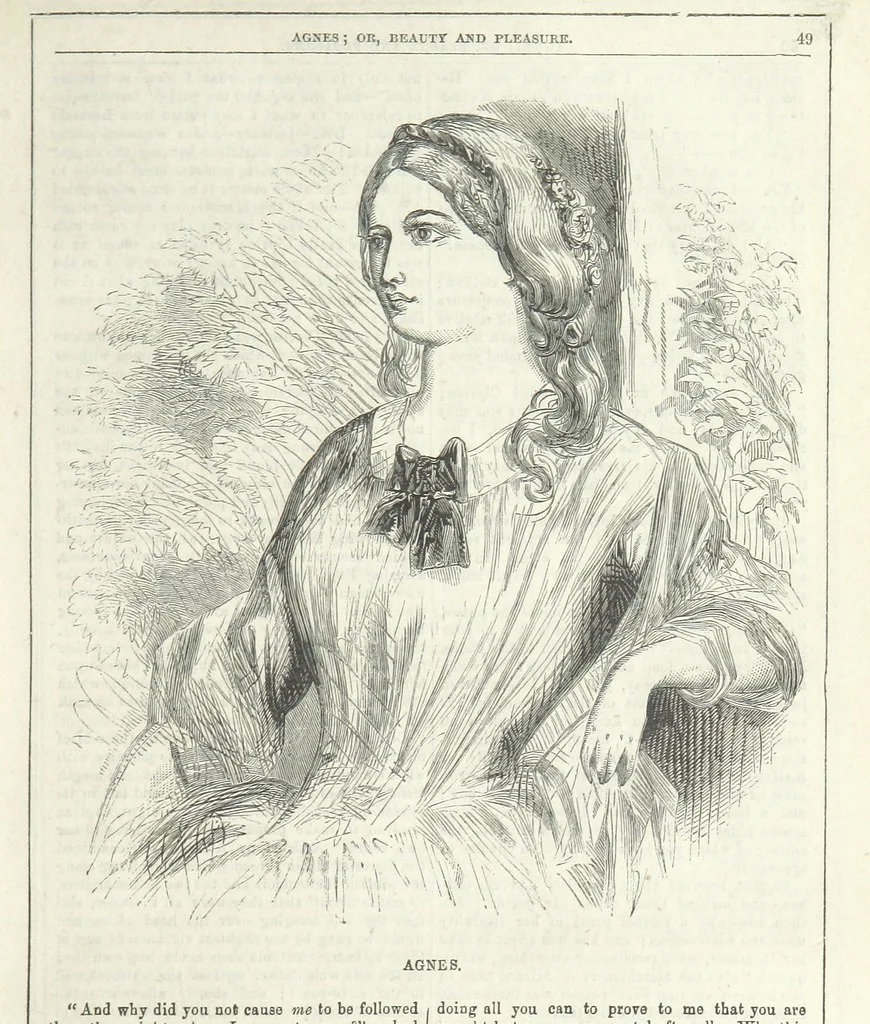 An illustration from Agnes; or Beauty and Pleasure, 1857, leaf 61