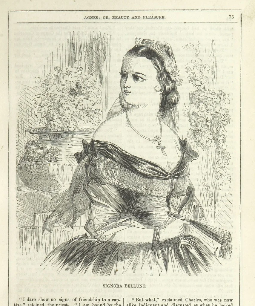 An illustration from Agnes; or Beauty and Pleasure, 1857, leaf 85