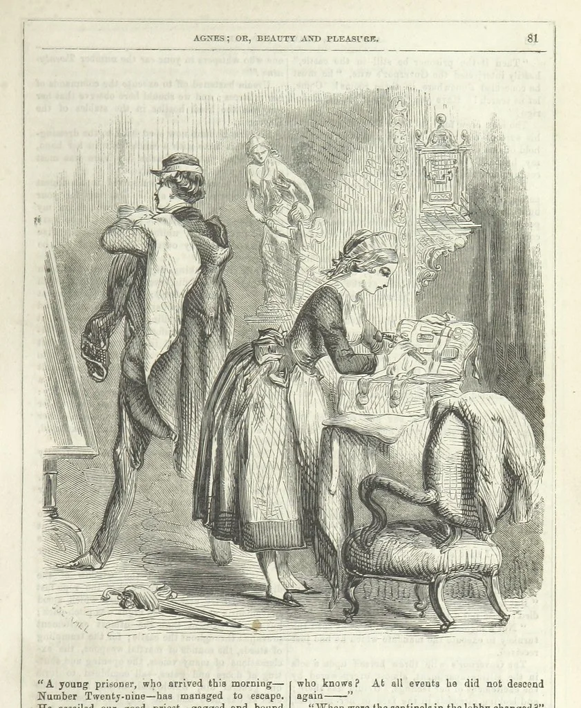 An illustration from Agnes; or Beauty and Pleasure, 1857, leaf 93
