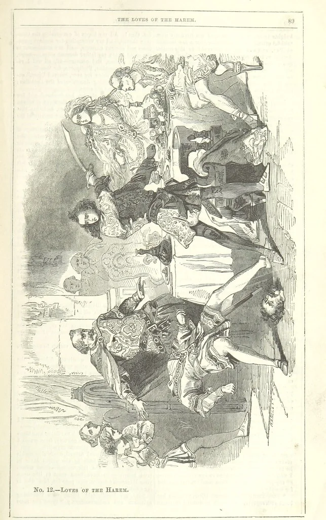 An illustration from The Loves of the Harem: a tale of Constantinople, 1855, leaf 103