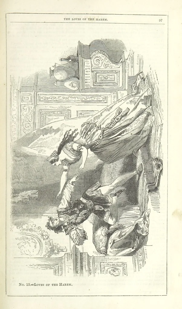 An illustration from The Loves of the Harem: a tale of Constantinople, 1855, leaf 111