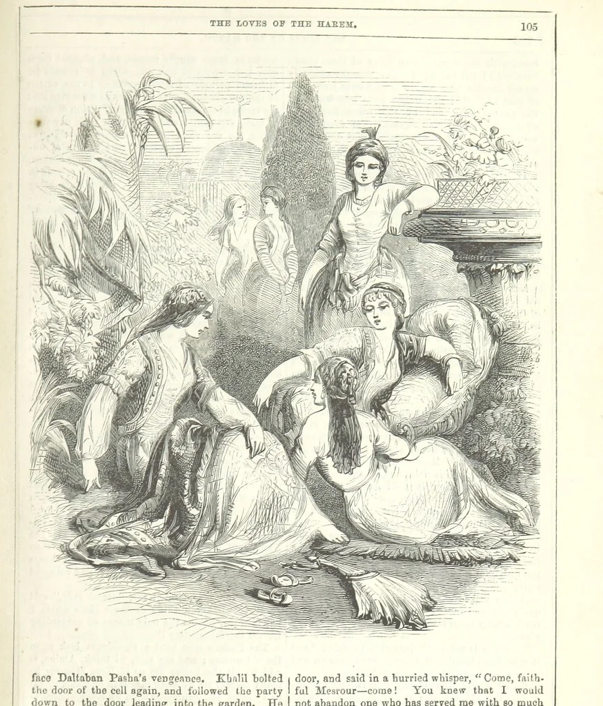 An illustration from The Loves of the Harem: a tale of Constantinople, 1855, leaf 119