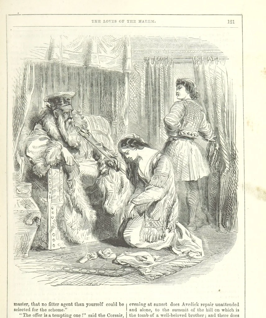 An illustration from The Loves of the Harem: a tale of Constantinople, 1855, leaf 135