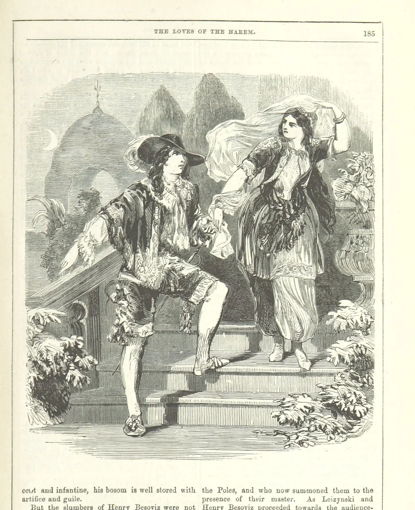 An illustration from The Loves of the Harem: a tale of Constantinople, 1855, leaf 199