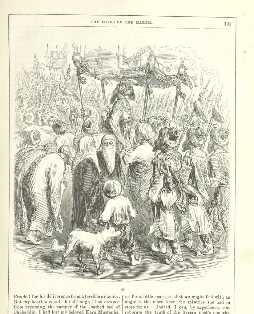 An illustration from The Loves of the Harem: a tale of Constantinople, 1855, leaf 207