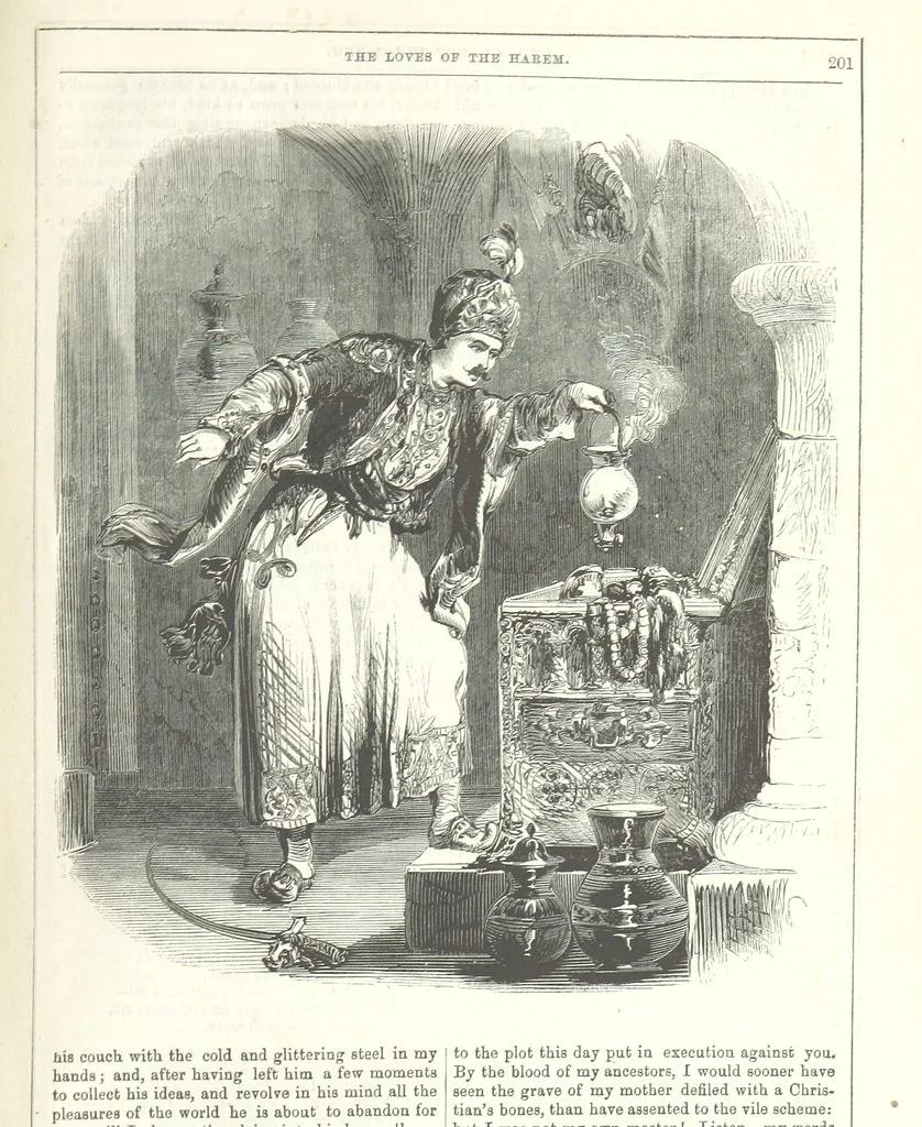 An illustration from The Loves of the Harem: a tale of Constantinople, 1855, leaf 215
