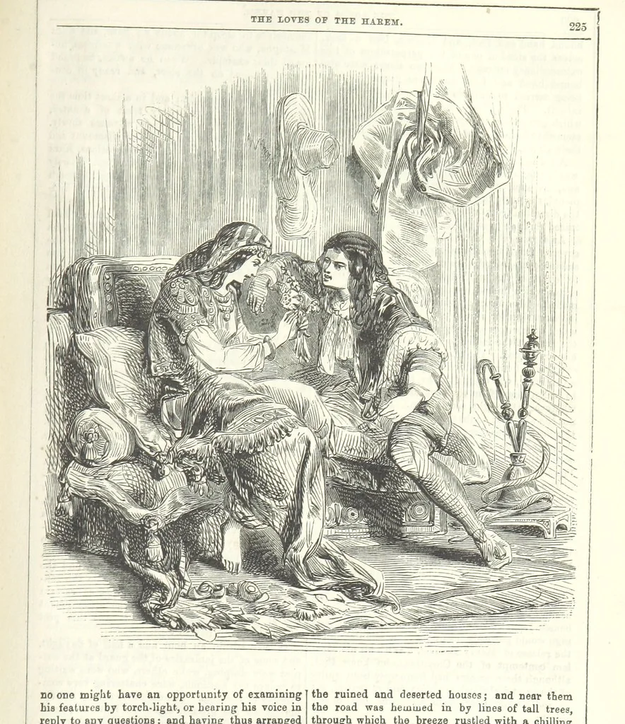 An illustration from The Loves of the Harem: a tale of Constantinople, 1855, leaf 239