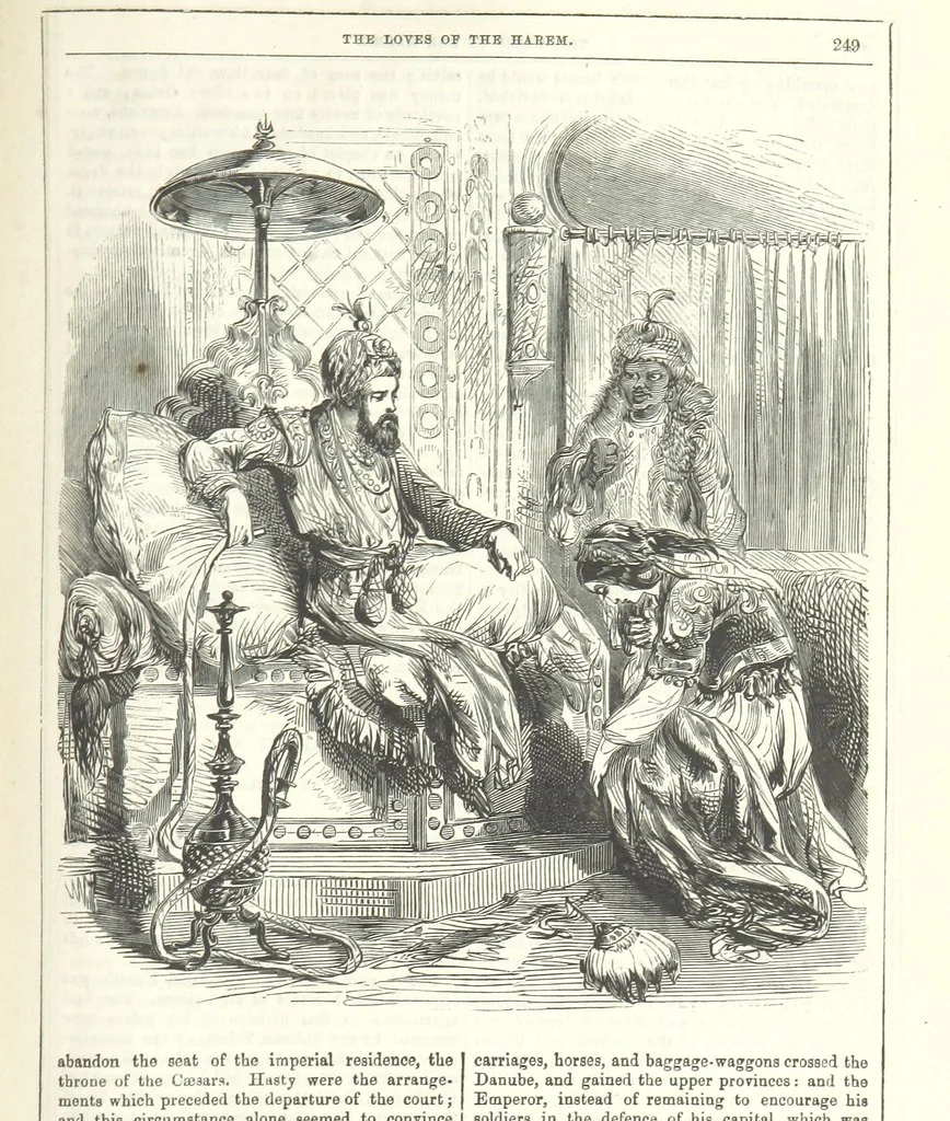 An illustration from The Loves of the Harem: a tale of Constantinople, 1855, leaf 263
